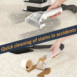 KD2041 Spot cleaner DSP
